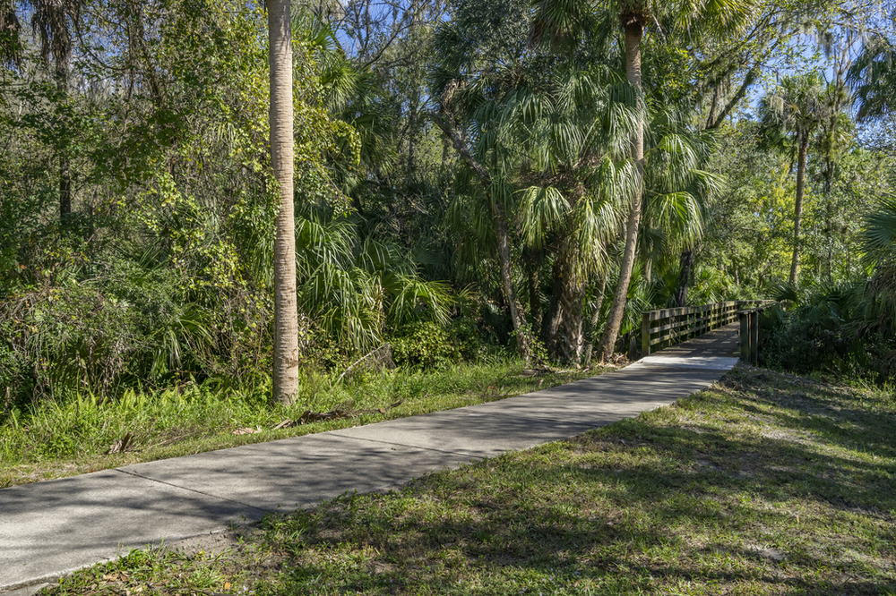 Westminster Apartments, Apartments for Rent in Oldsmar, FL