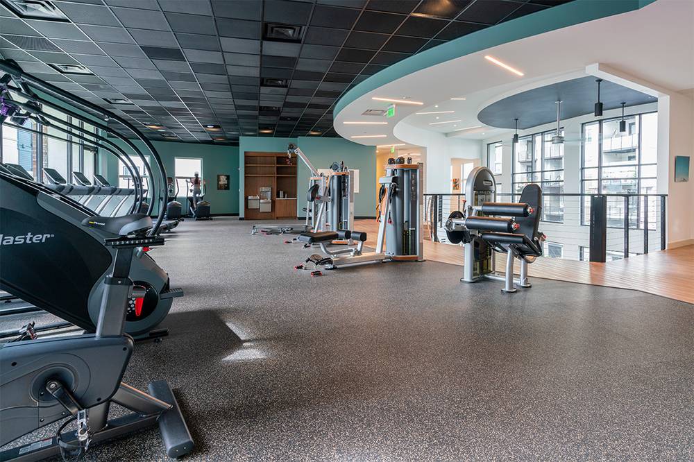 Griffis Lake Washington, Apartments for Rent in Renton, WA