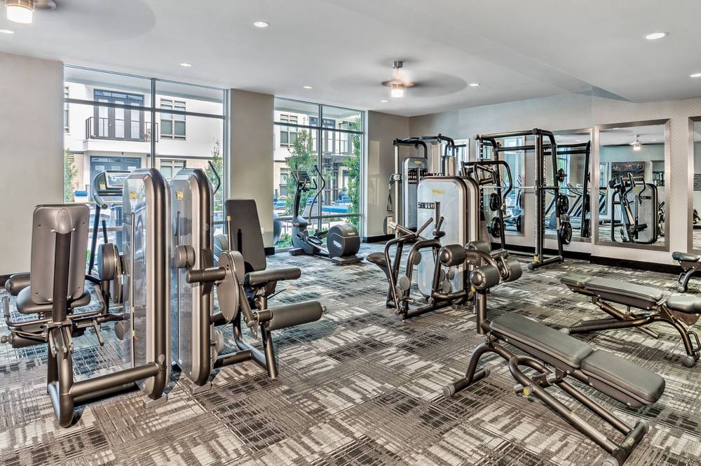 Anthem Cityline, Apartments for Rent in Richardson, TX